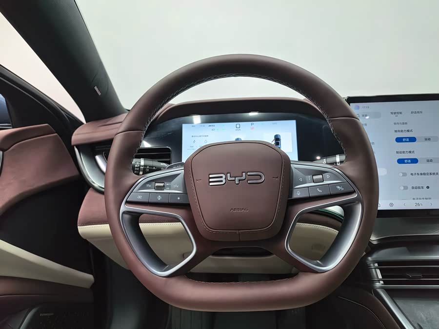 BYD Seal 07 DM-i 2025 imagen de coche #15