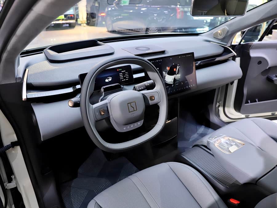 极氪 极氪X 2024 汽车图片 #15