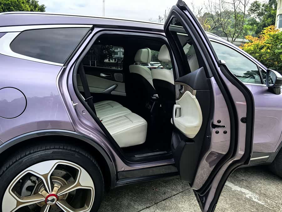 Denza X 2020 car image #15