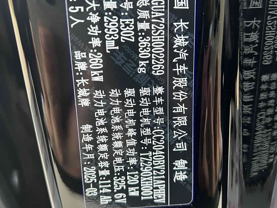 Tank 700 New Energy 2025 immagine di auto #15