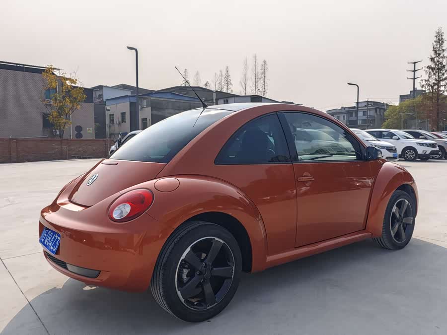 Volkswagen Beetle 2011 immagine di auto #15