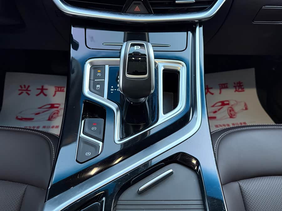 GEELY JiaJi 2020 immagine di auto #15