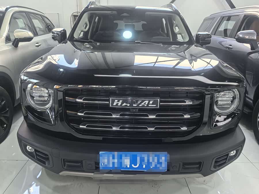 Haval X Dog / Dargo 2022 immagine di auto #15
