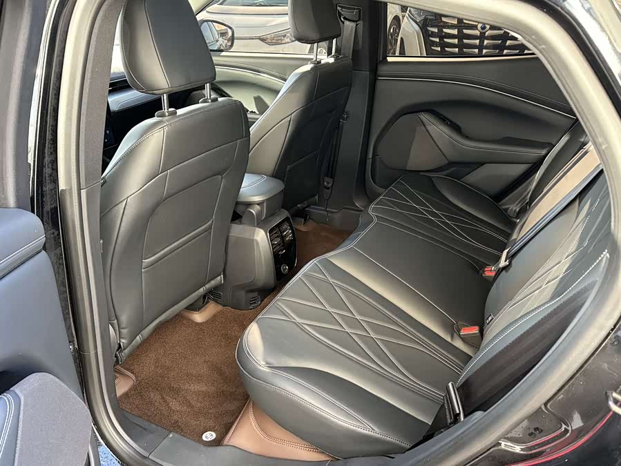 Ford Mustang Mach-E 2022 car image #15