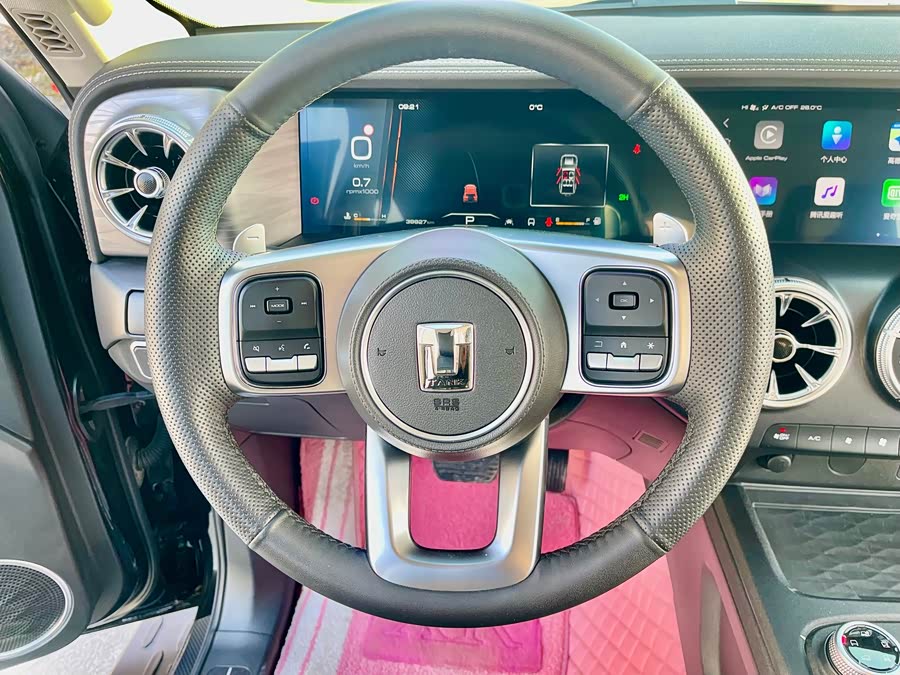 Tank 300 2023 car image #15