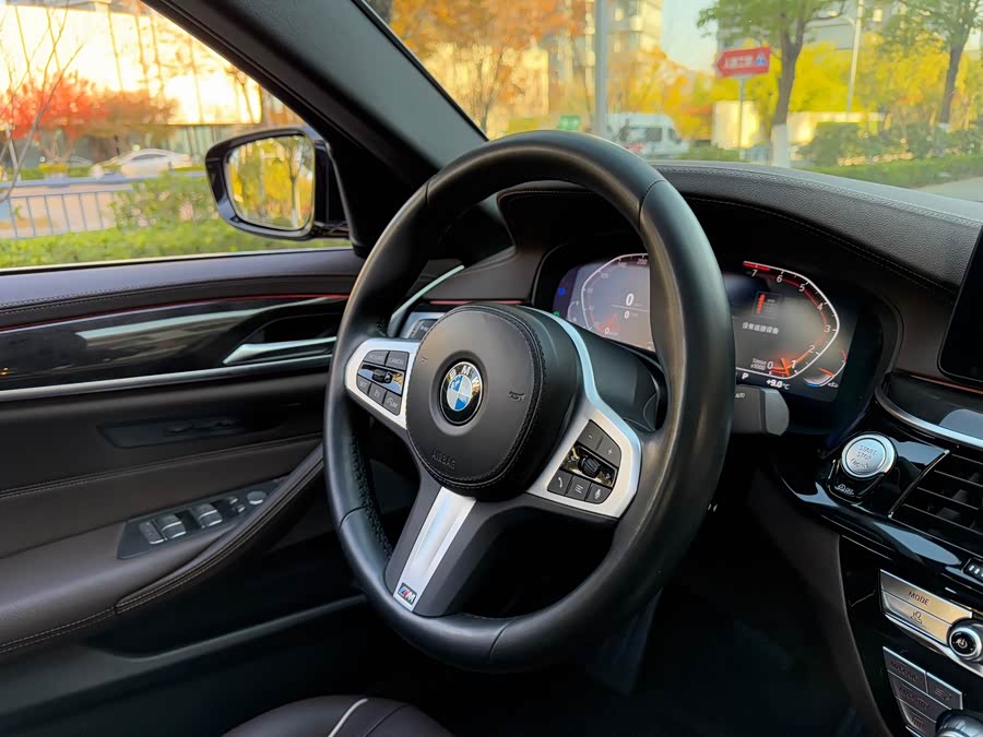 BMW 5 Series 2022 car image #15