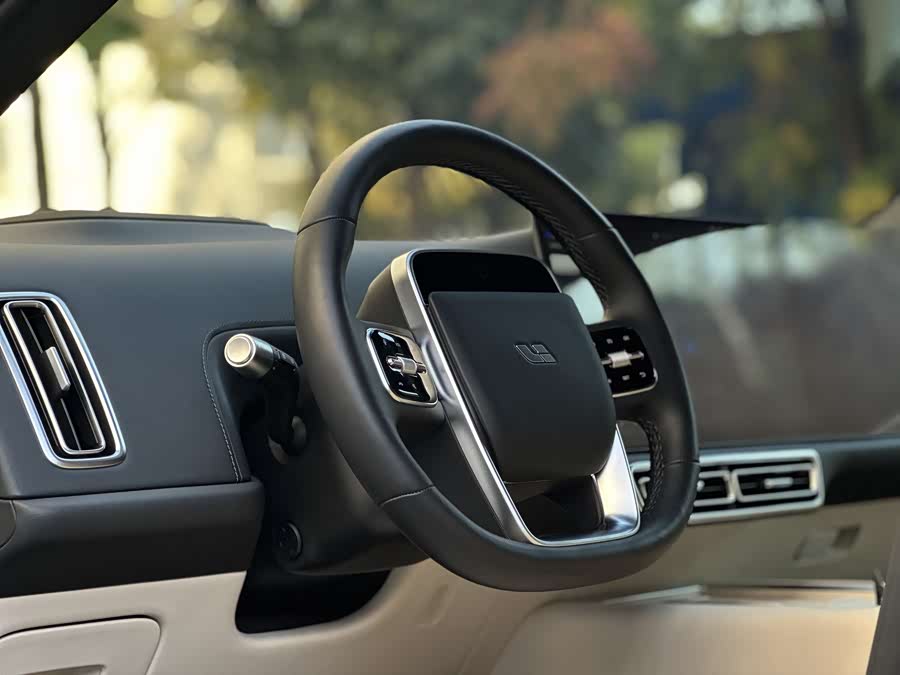 Li L9 2025 image de voiture #15