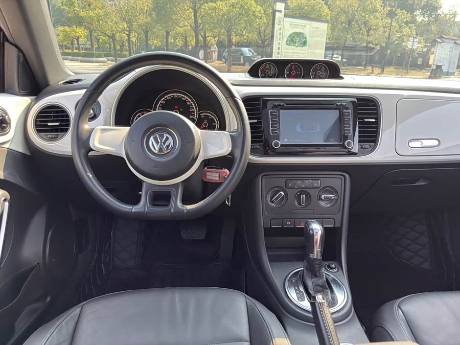 Volkswagen Beetle 2013 immagine di auto #15
