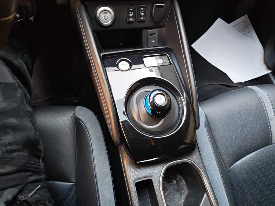 日产 轩逸·纯电 2019 汽车图片 #15