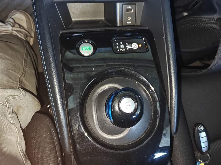 日产 轩逸·纯电 2019 汽车图片 #15