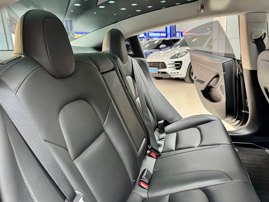 Tesla Model 3 2021 car image #15