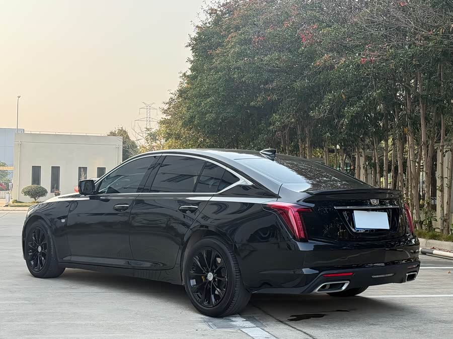2020 #15 2020 car image #15