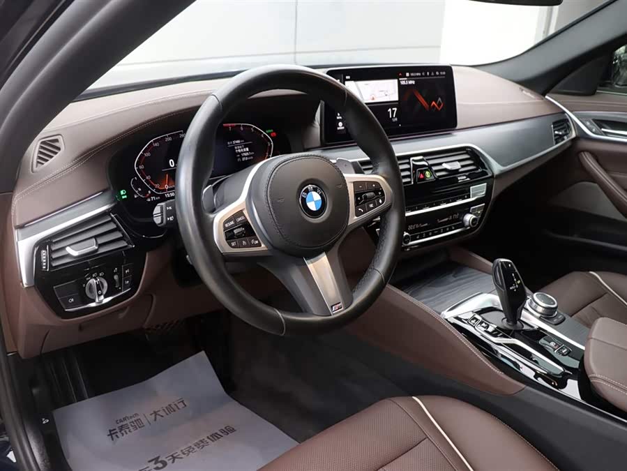 BMW 5 Series 2021 car image #15