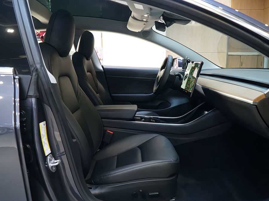 Tesla Model 3 2020 car image #15