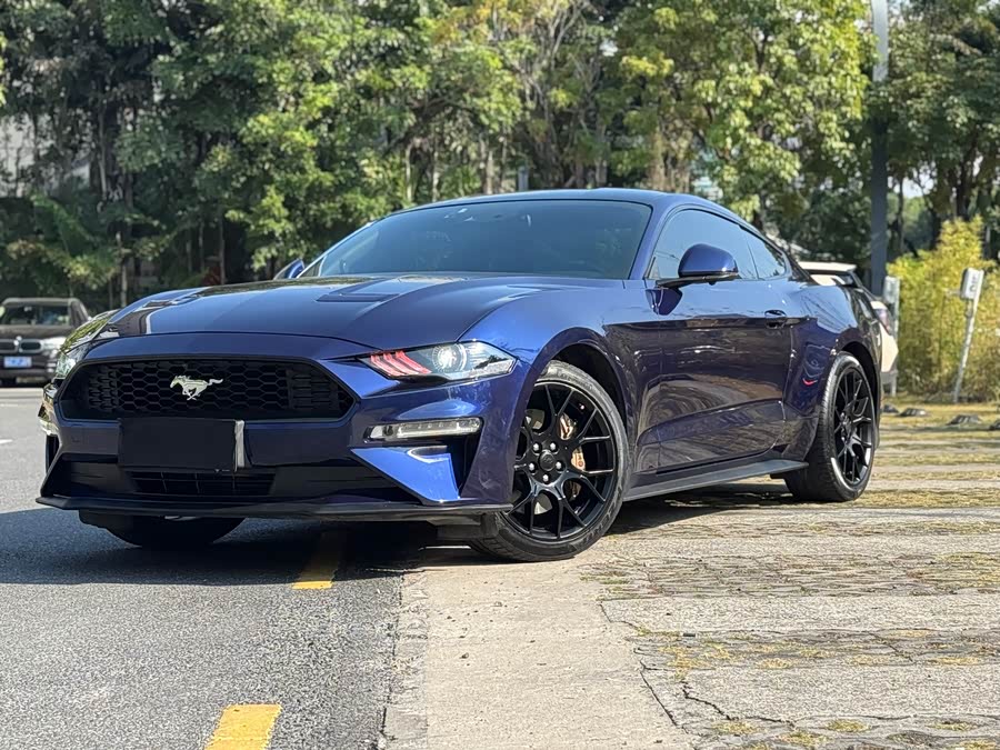 Ford Mustang 2020 immagine di auto #15