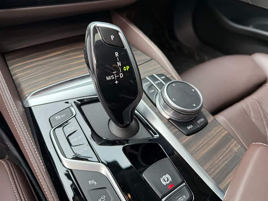 BMW 5 Series 2020 car image #15