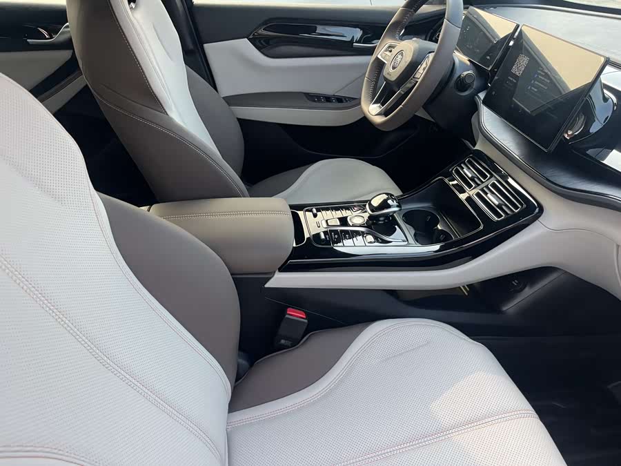 BYD Qin Plus 2024 immagine di auto #15