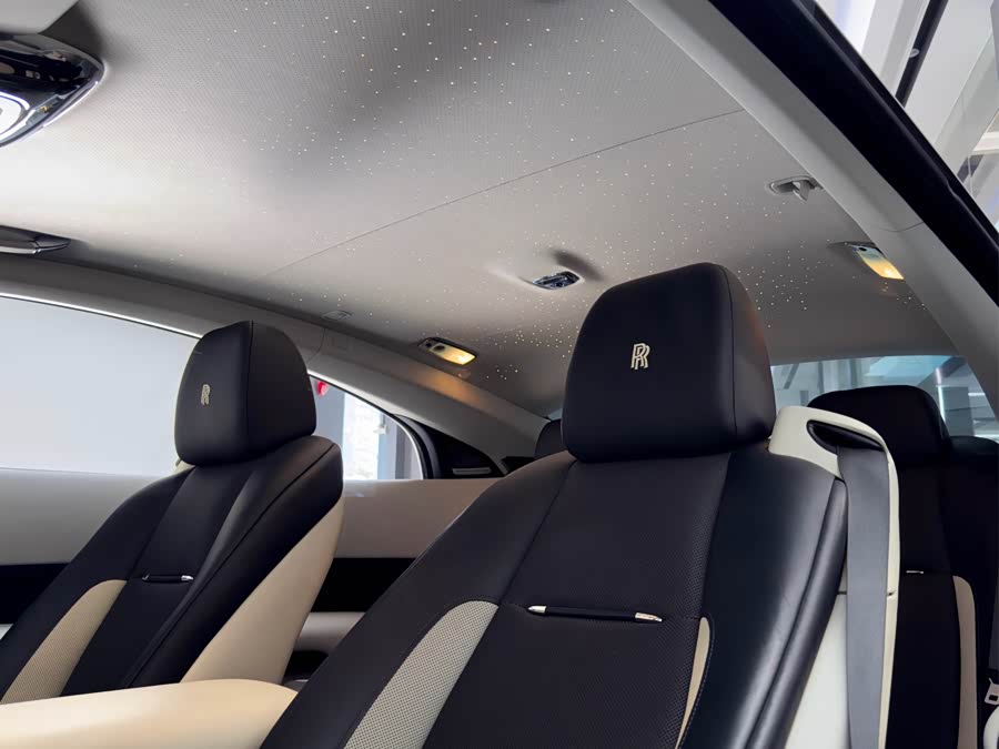 Denza Wraith 2017 car image #15
