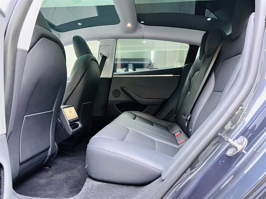 Tesla Model 3 2024 car image #15