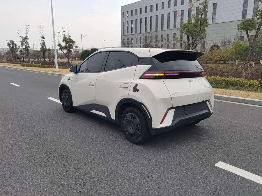 BYD Seagull 2024 #15 BYD Seagull 2024 car image #15