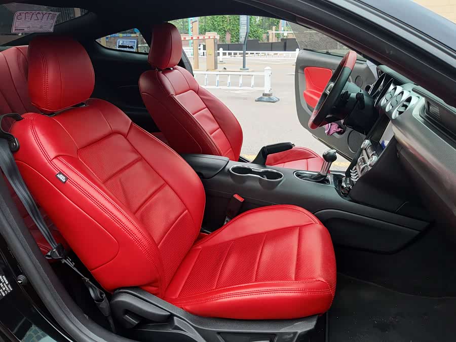 Ford Mustang 2022 car image #15