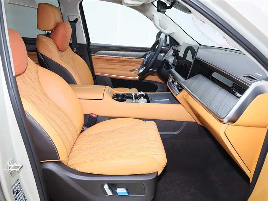 Tank 500 New Energy 2025 immagine di auto #15