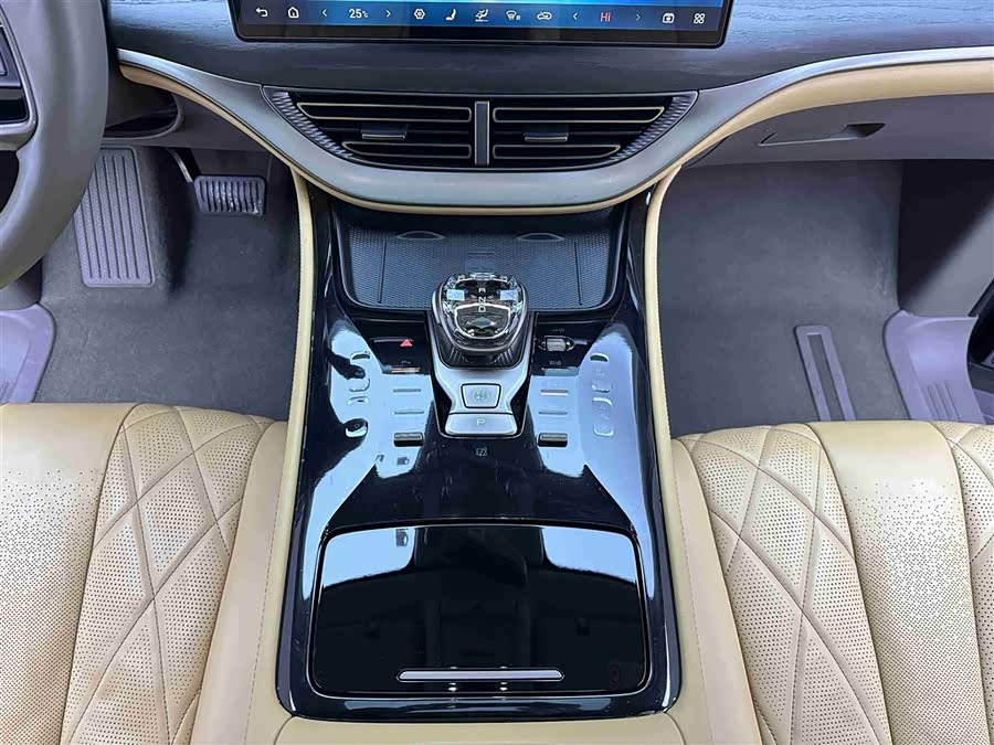 Denza D9 2023 immagine di auto #15
