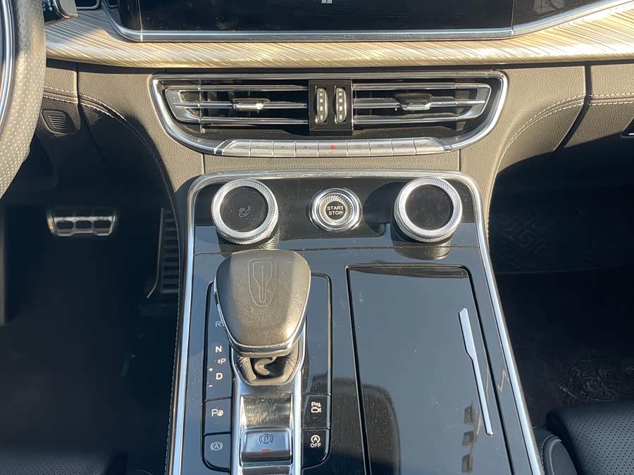 HongQi H9 2021 car image #15