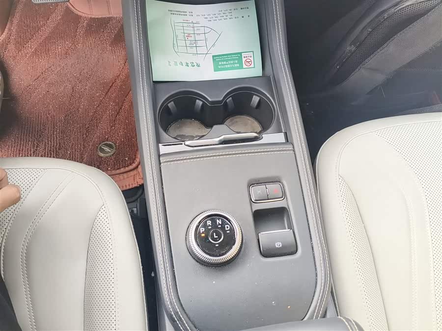 Ford Mustang Mach-E 2022 car image #15