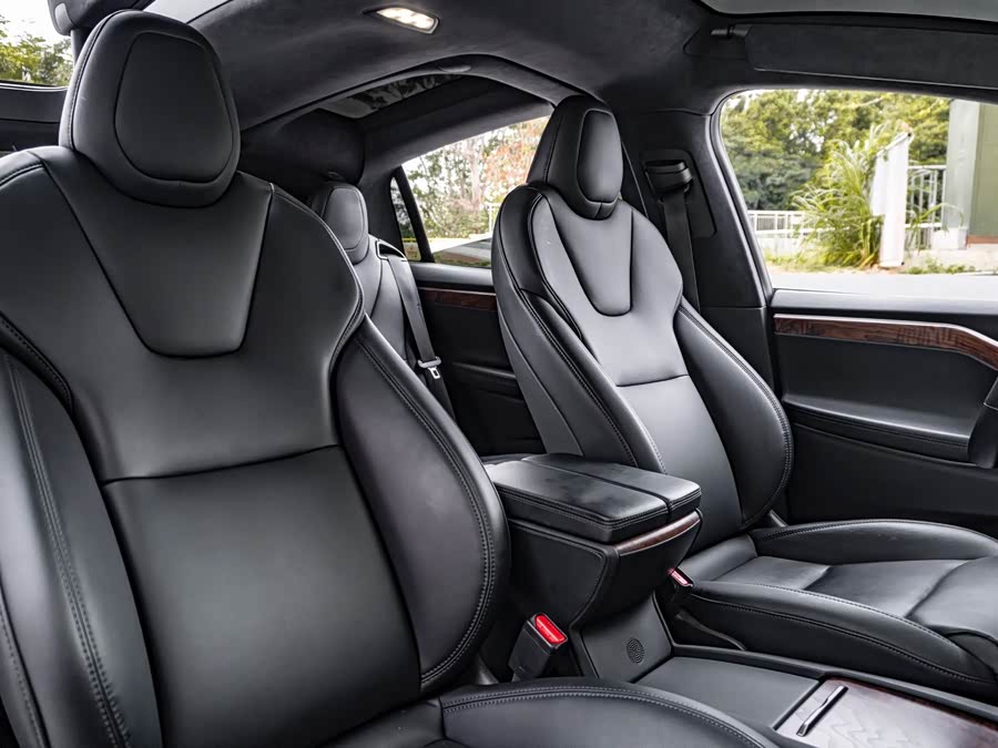 Tesla Model X 2020 car image #15