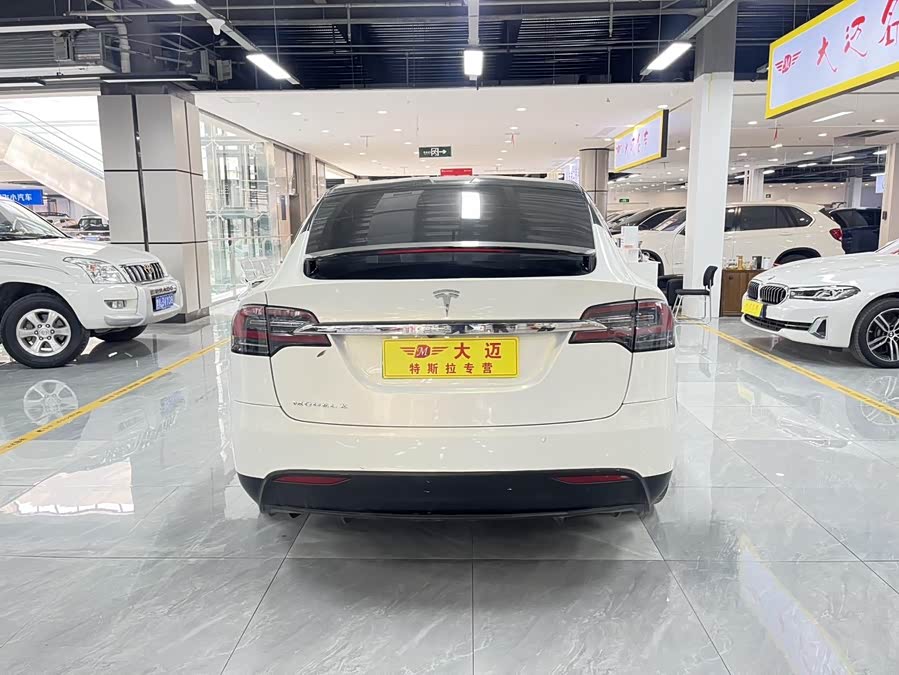 Tesla Model X 2018 car image #15