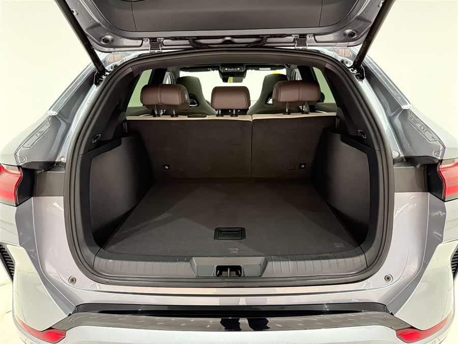 BYD Song Plus New Energy 2025 car image #15