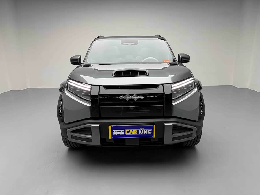 FangChengBao Tiger 3 2025 car image #15