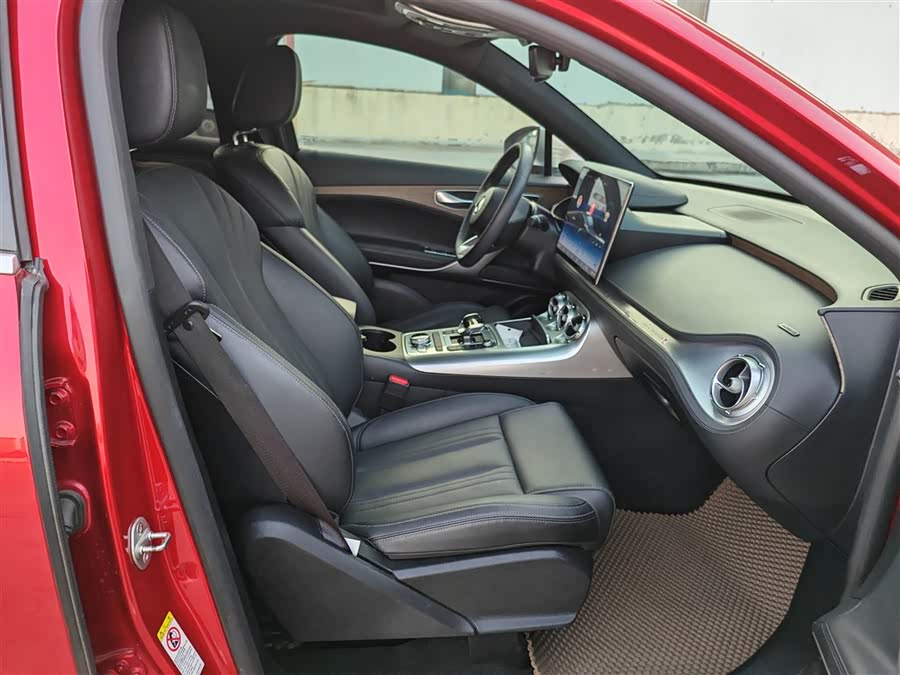 Denza X 2020 imagem de carro #15