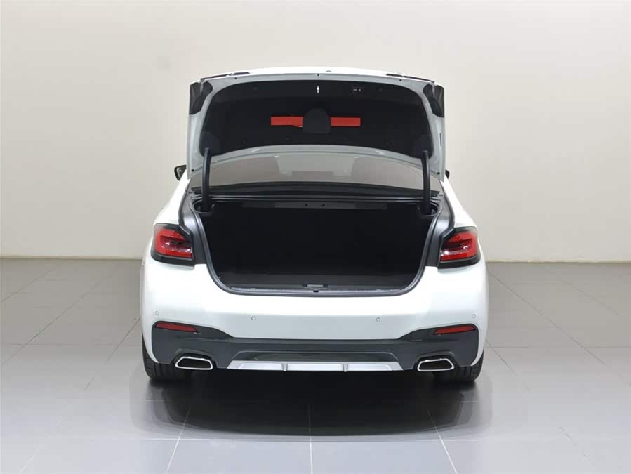 BMW 5 Series New Energy 2021 car image #15