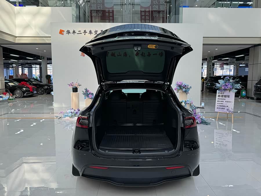 Tesla Model Y 2022 #15 Tesla Model Y 2022 car image #15