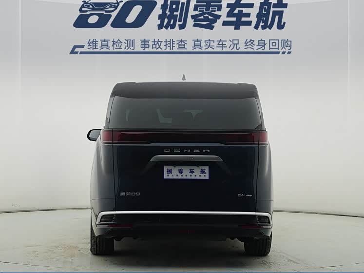 Denza D9 2023 car image #15