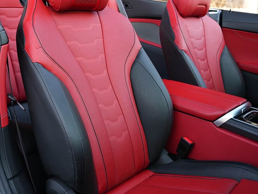 BMW 8 Series 2019 car image #15