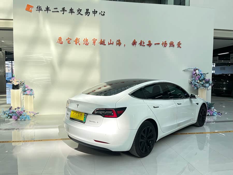 Tesla Model 3 2020 #15 Tesla Model 3 2020 car image #15