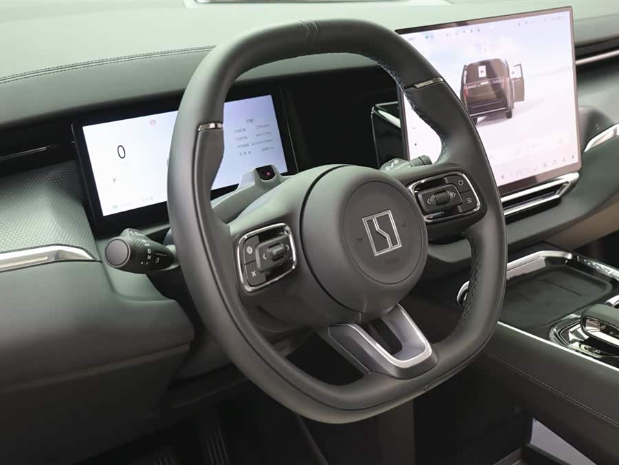 极氪 极氪009 2024 汽车图片 #15