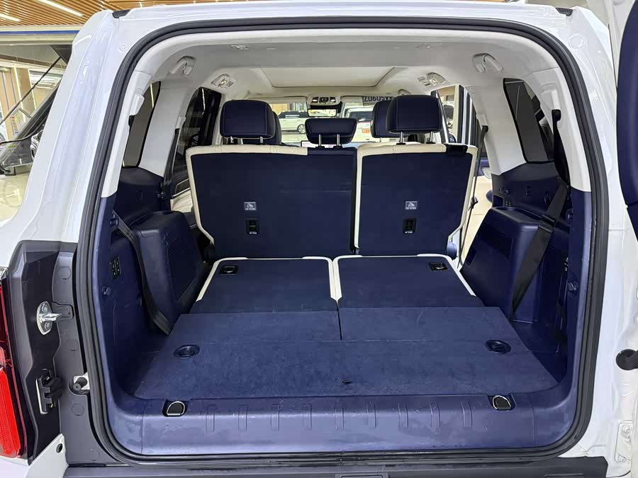 坦克 坦克500 2022 汽车图片 #15