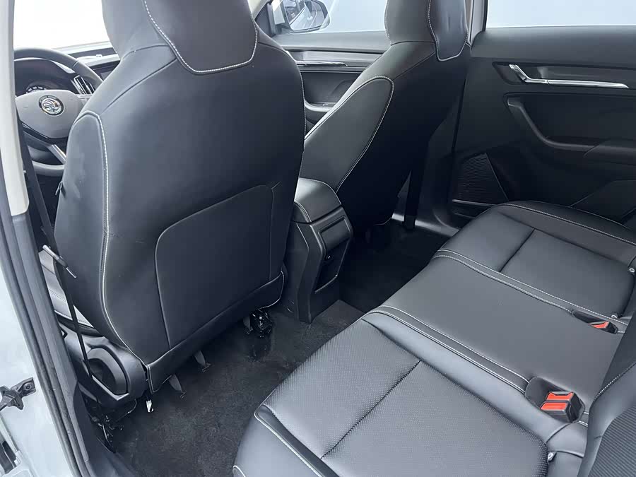 Skoda Kamiq 2024 imagen de coche #15