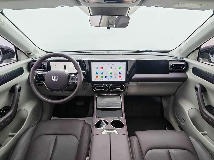 Leapmotor C11 2023 car image #15