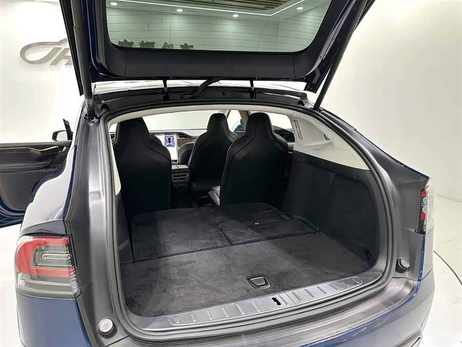 Tesla Model X 2018 car image #15