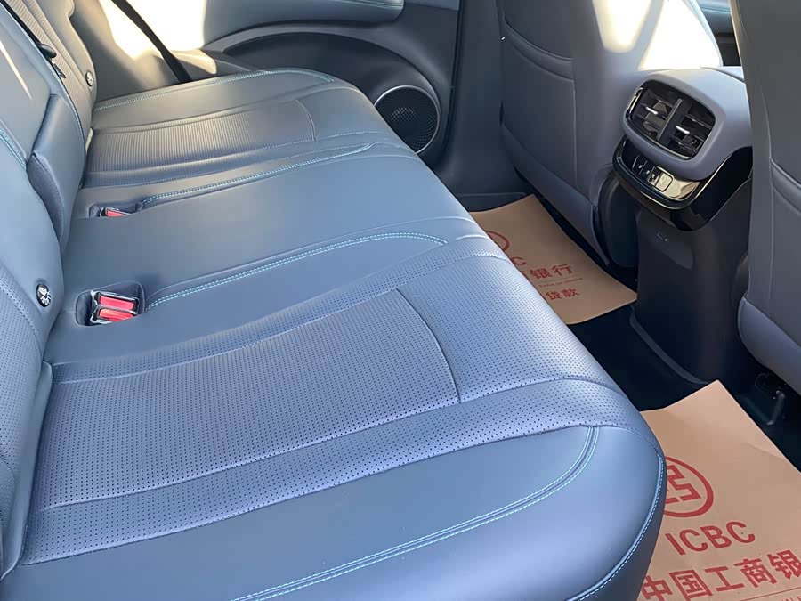 BYD Sea Lion 07 DM-i 2025 car image #15