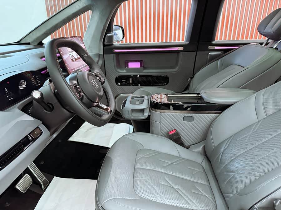 Zeekr MIX 2024 image de voiture #15