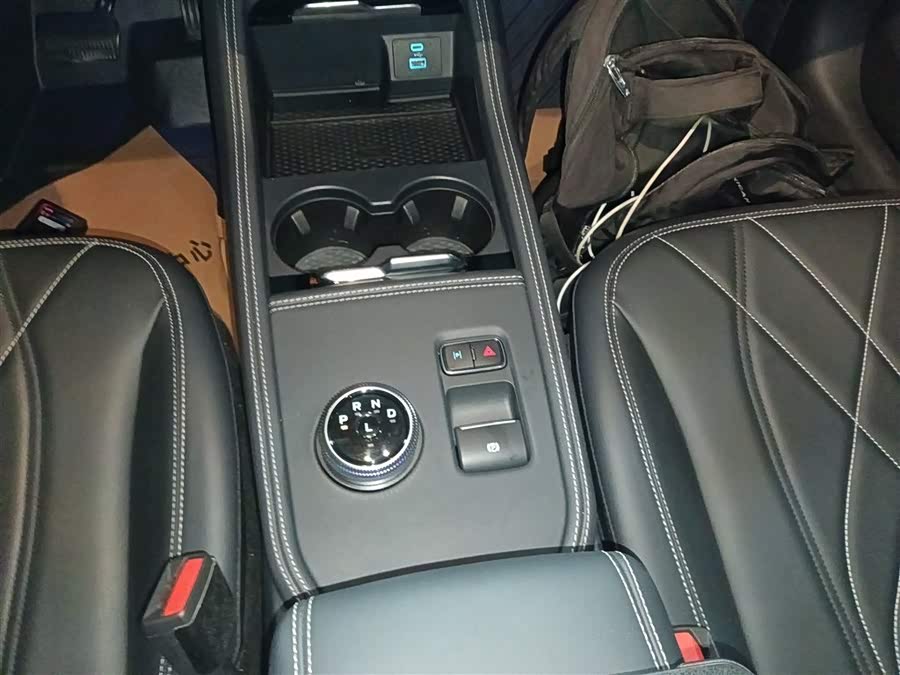 Ford Mustang Mach-E 2022 car image #15