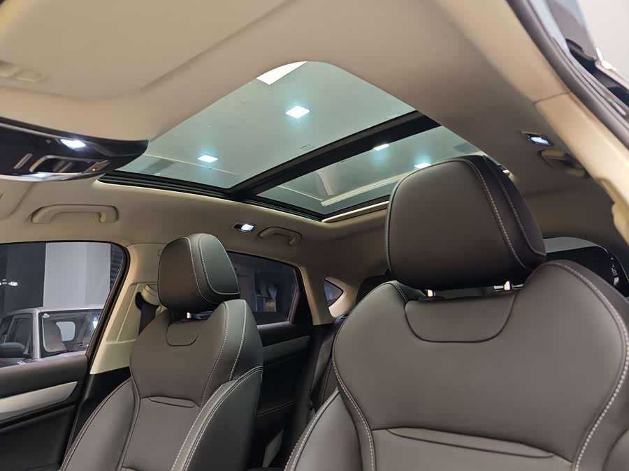 GEELY Tugella New Energy 2020 #15 GEELY Tugella New Energy 2020 car image #15