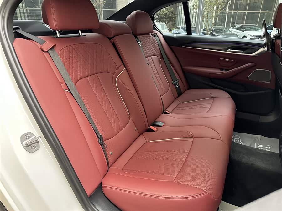 BMW 5 Series New Energy 2021 car image #15