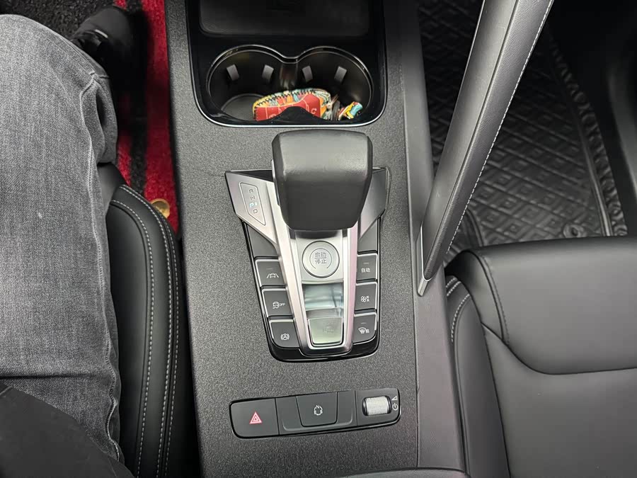 BYD Song Pro 2020 car image #15